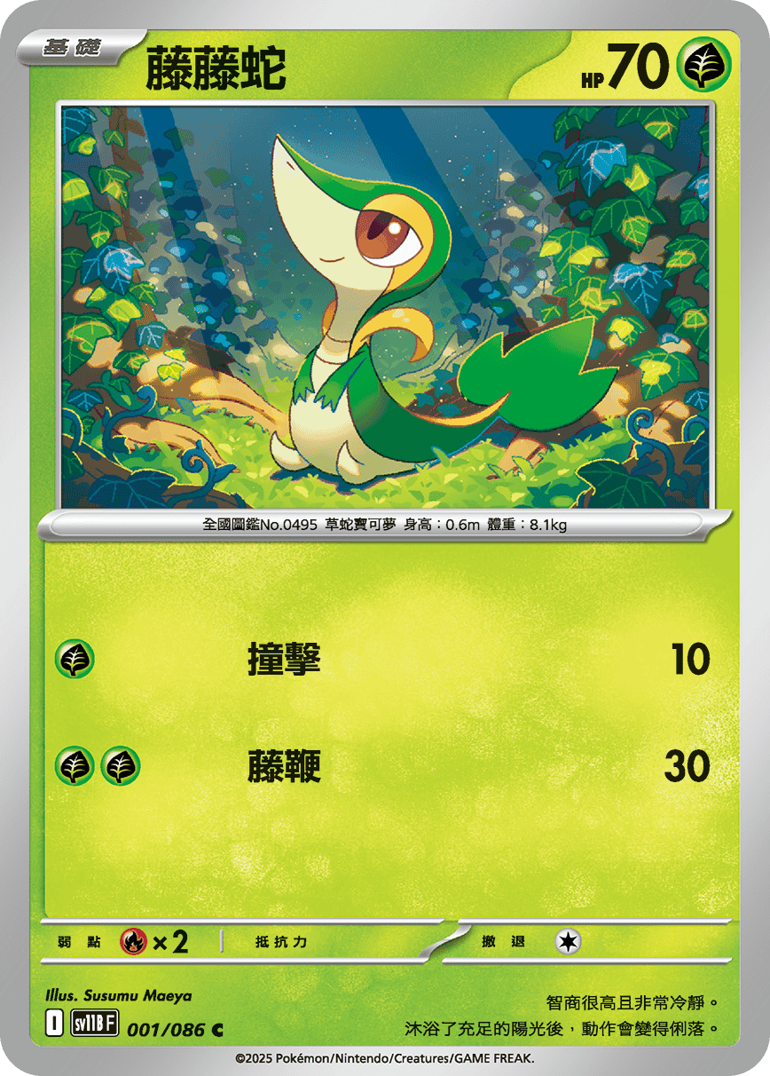 Black BoltWhite Flare — Pokémon (Traditional Chinese)