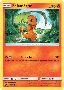 Majesté Des Dragons — Pokemon French