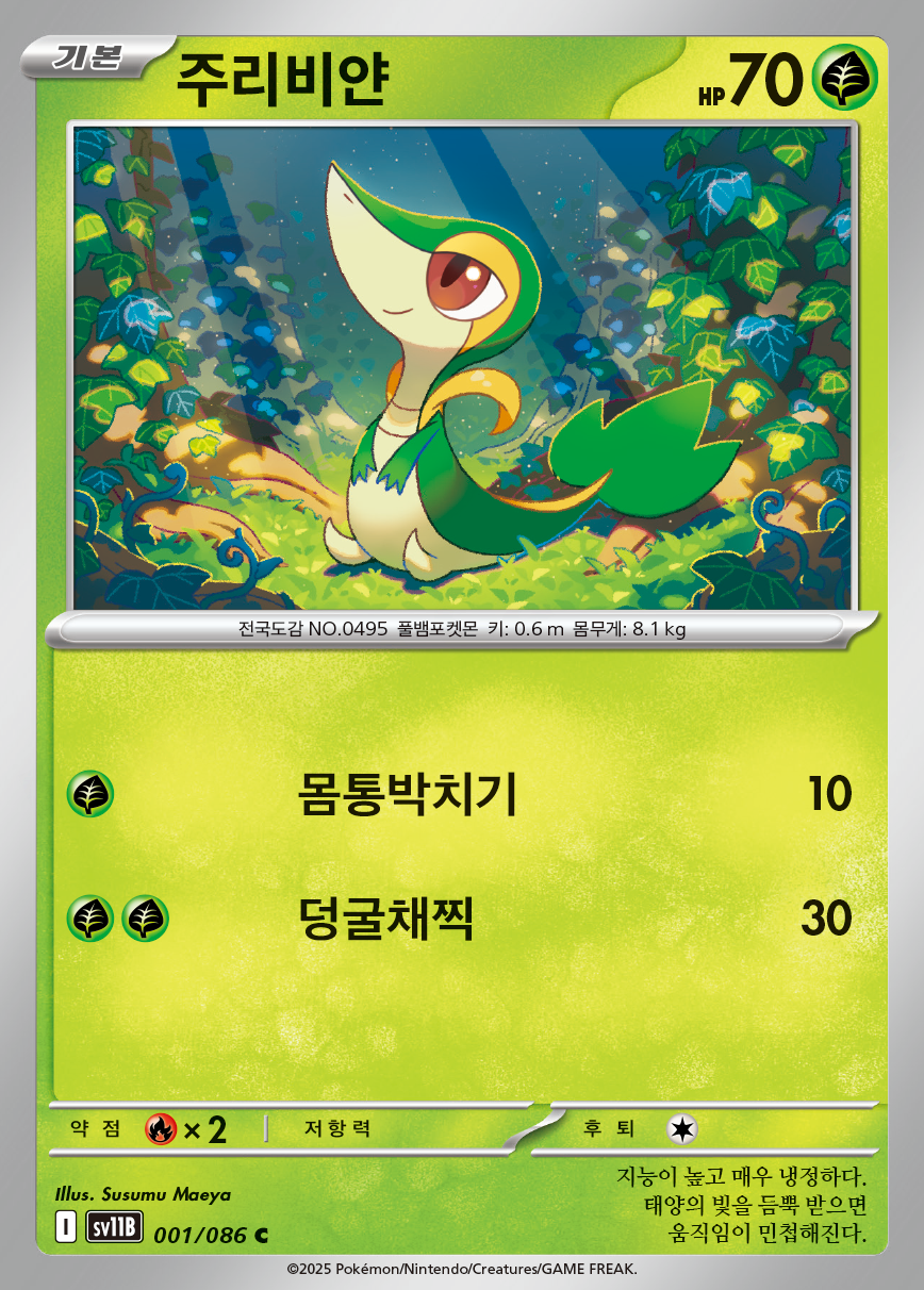 Black BoltWhite Flare — Pokémon (Korean)