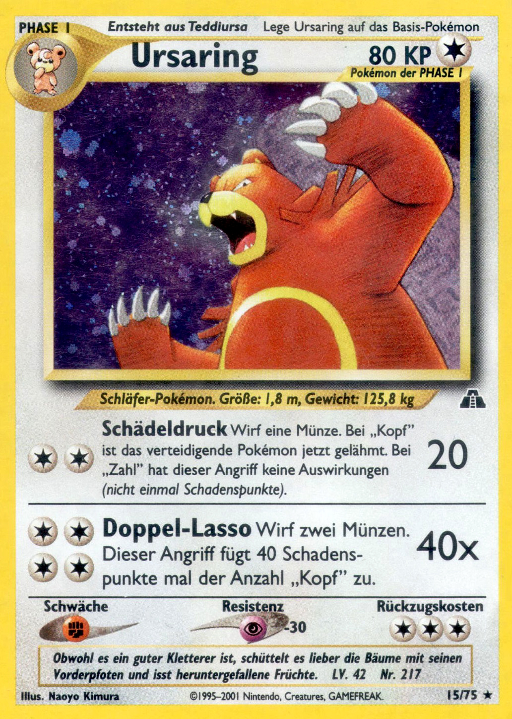 Ursaring — Neo Entdeckung #15