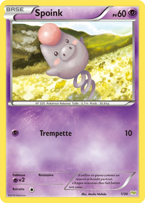 XY Kit du dresseur (Bruyverne) — Pokemon French