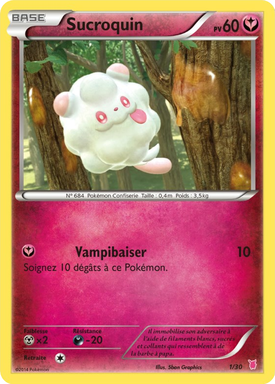 XY Kit du dresseur (Grodoudou) — Pokemon French