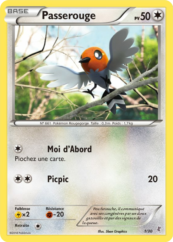 XY Kit du dresseur (Scalproie) — Pokemon French